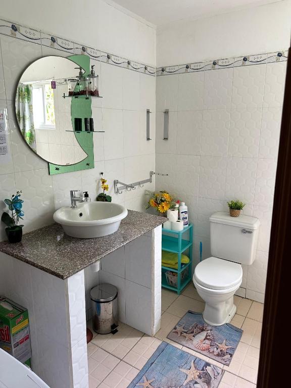The shared ground-floor bathroom, with basin, mirror and toilet