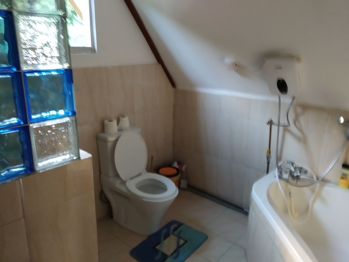 The private bathroom of the upstairs bedroom, with a bath and shower attachment under the sloping roof