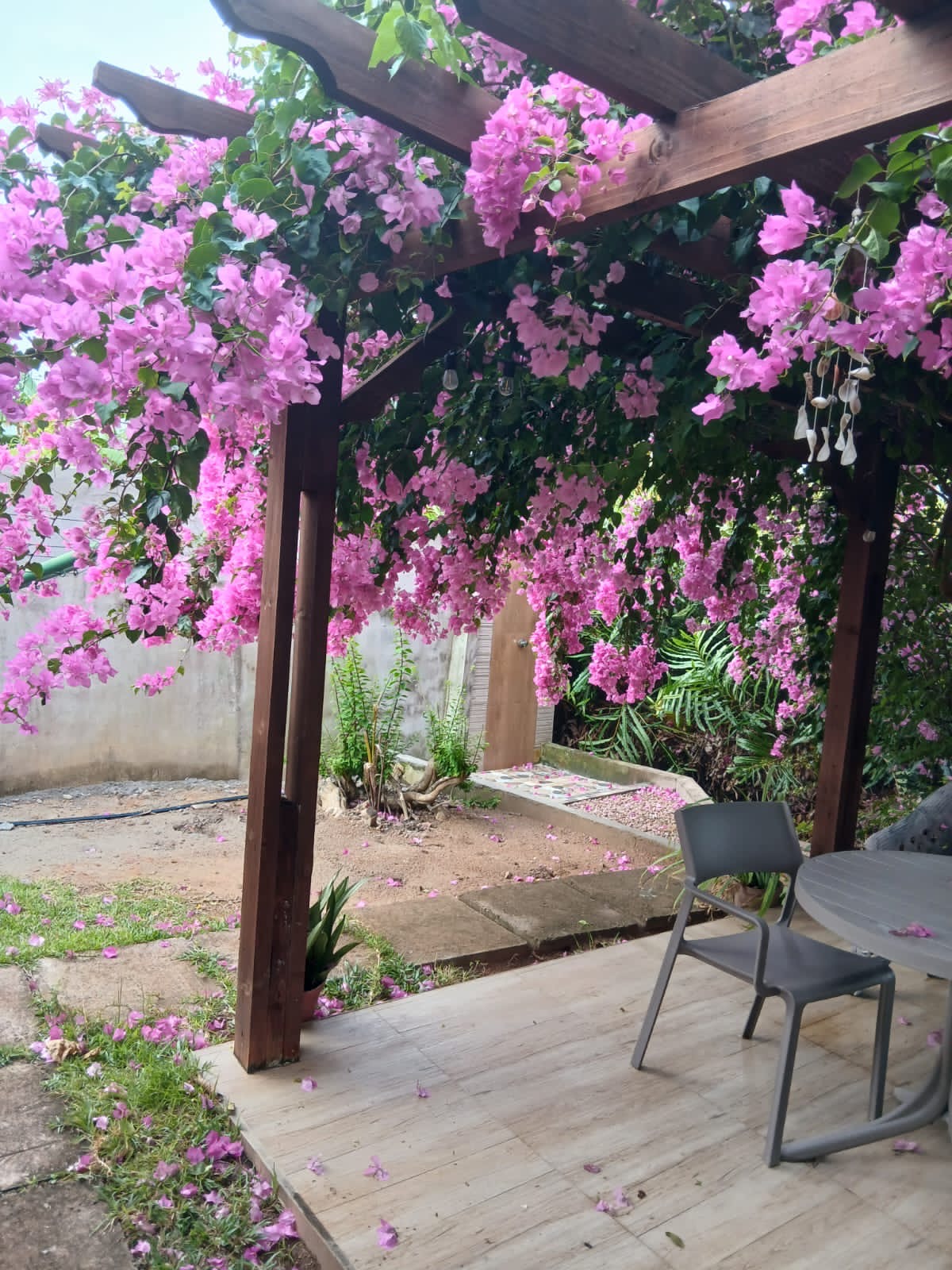 Bougainvillea-covered garden pergola beside the outdoor seating area at Villa Coco d’Amour