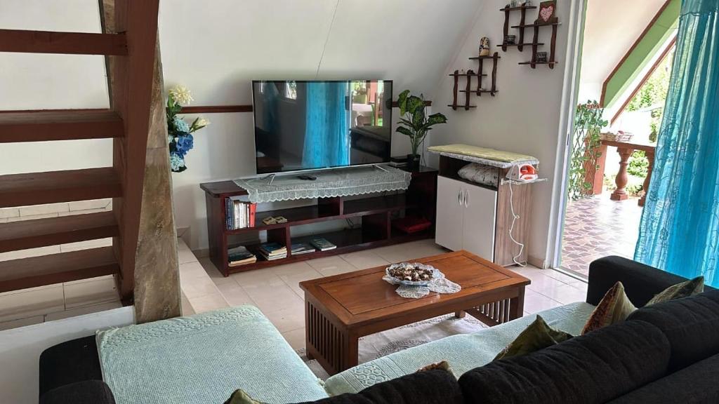 Shared living area with staircase and television