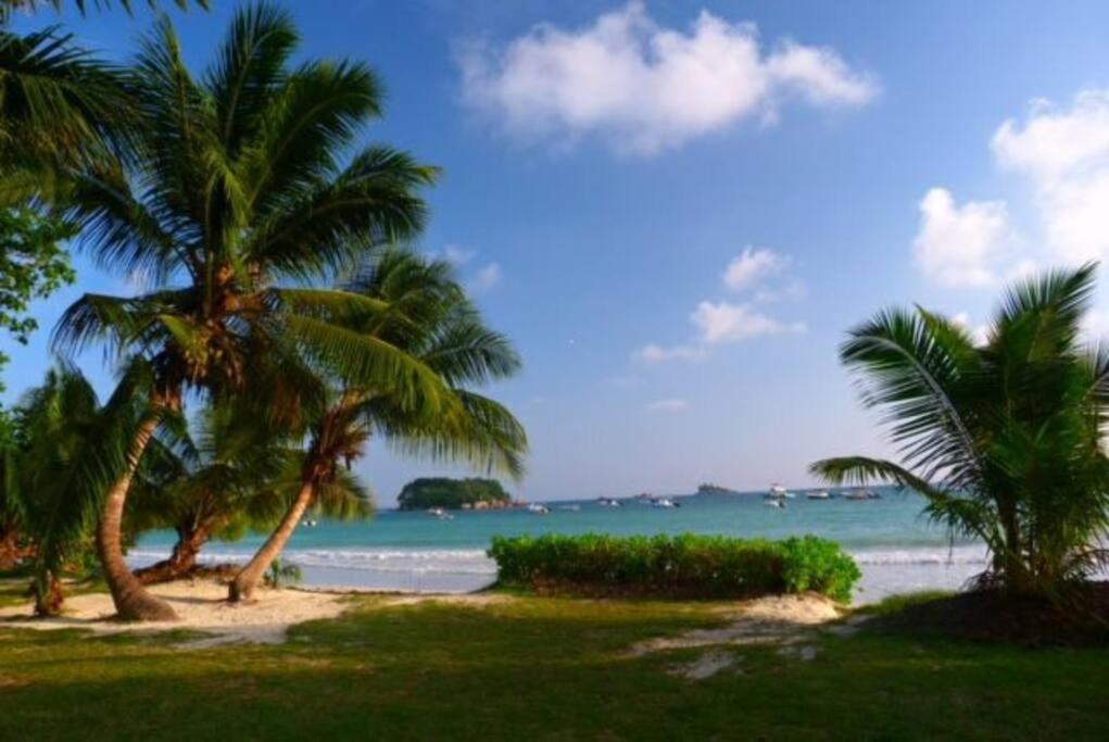 Palm-lined beach scenery on Praslin