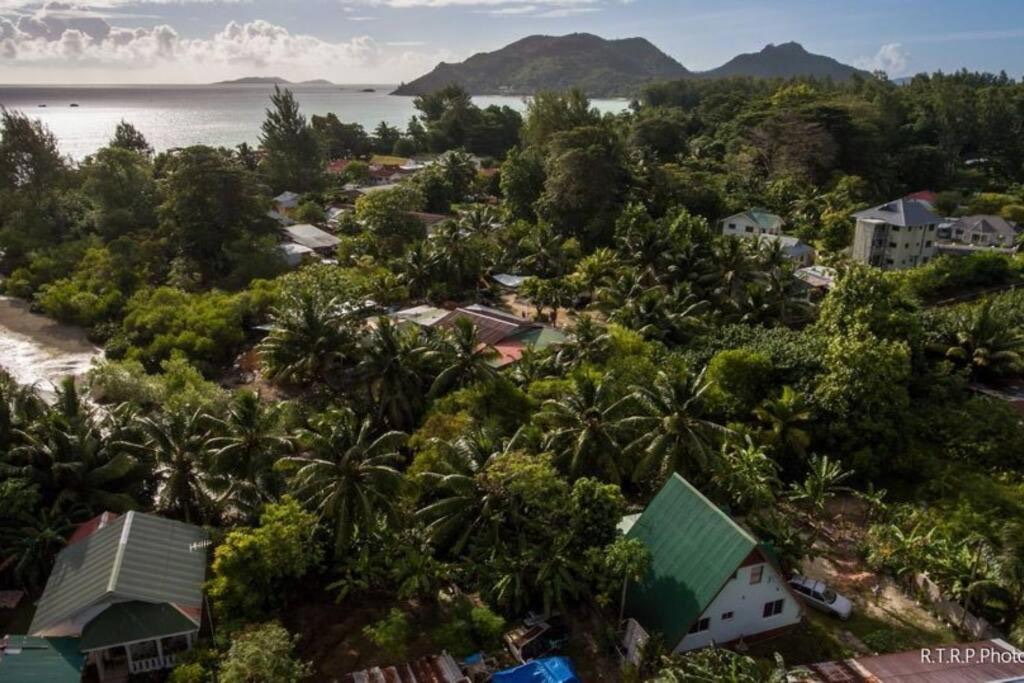 Aerial view of the villa among tropical vegetation